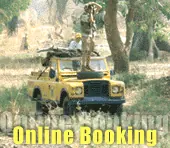 Ranthambor Wildlife Safari Online Booking-